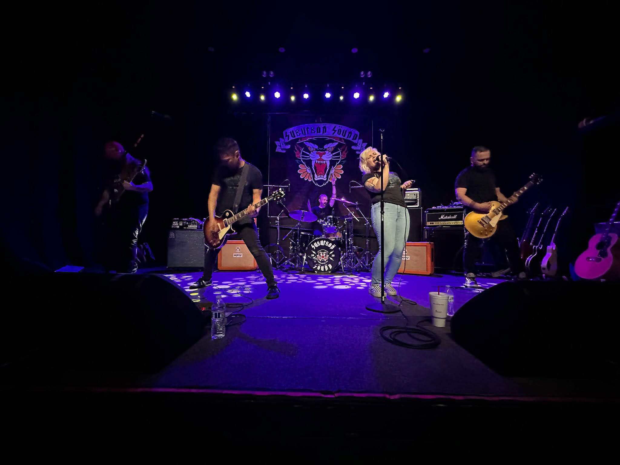 The Pale Moonlight playing a live show